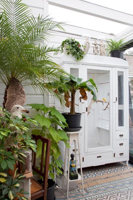 Bed & Breakfast De Witte Nijl